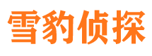 清流市调查公司